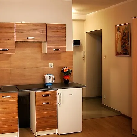 Studio Dolina Appartement Cracovie